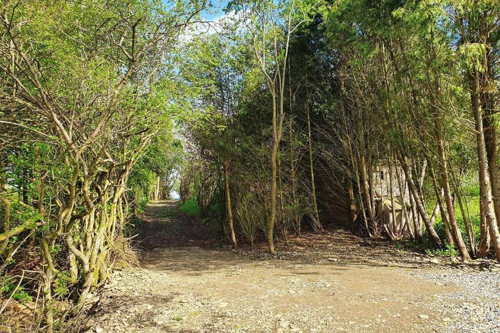 Le Chalet Des Oisai Wibrin المظهر الخارجي الصورة
